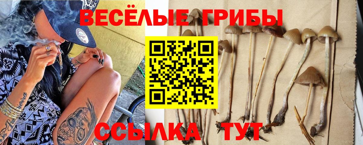 Галлюциногенные грибы MAGIC MUSHROOMS Шарыпово