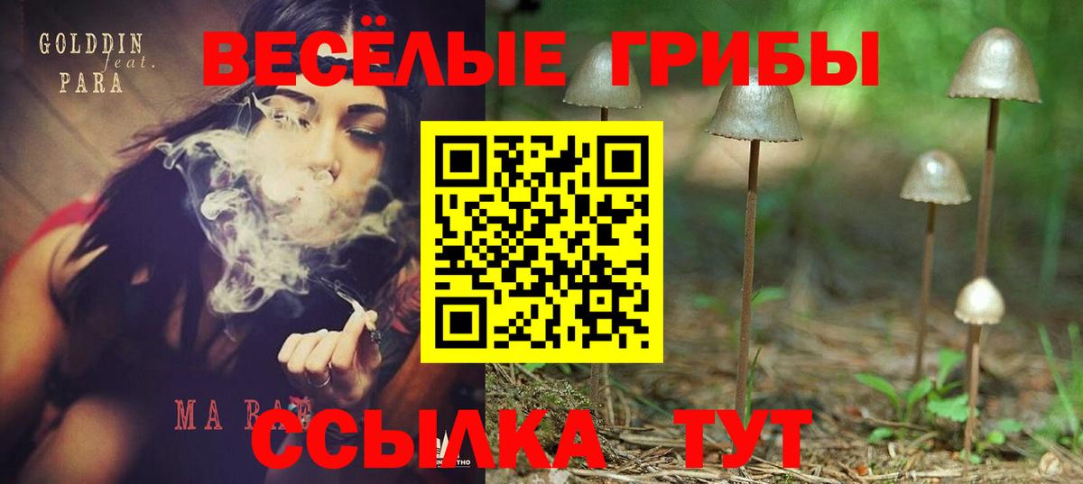 Галлюциногенные грибы мухоморы  купить  сайты  Вход с VPN  Шарыпово  Псилоцибиновые грибы прущие грибы 
